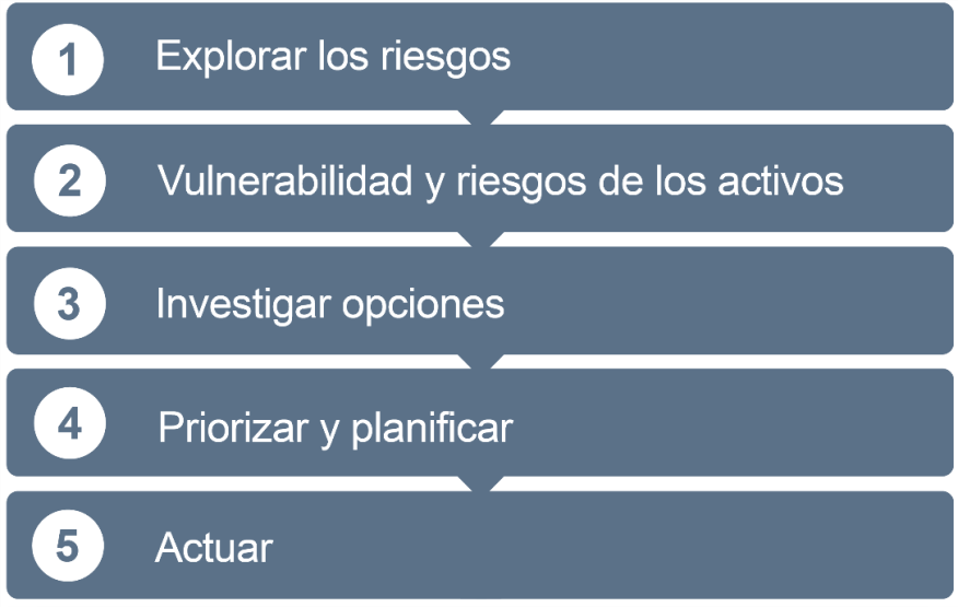 Figura 1.1.1.4 Pasos hacia la resiliencia