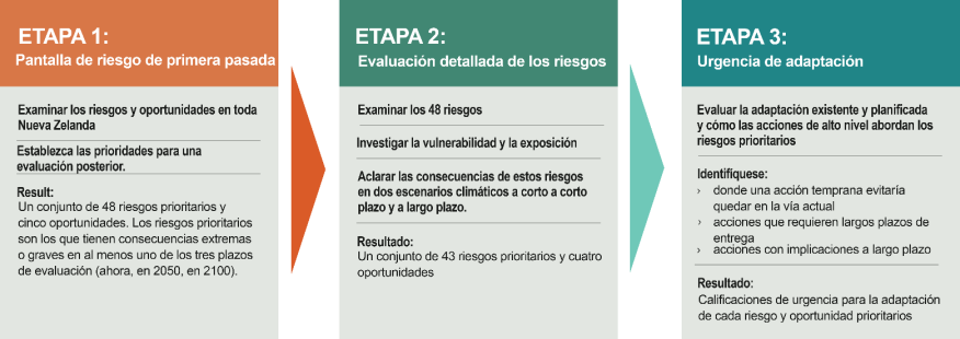 Figura 1.1.2.1 Etapas de la evaluación de riesgos en Nueva Zelanda