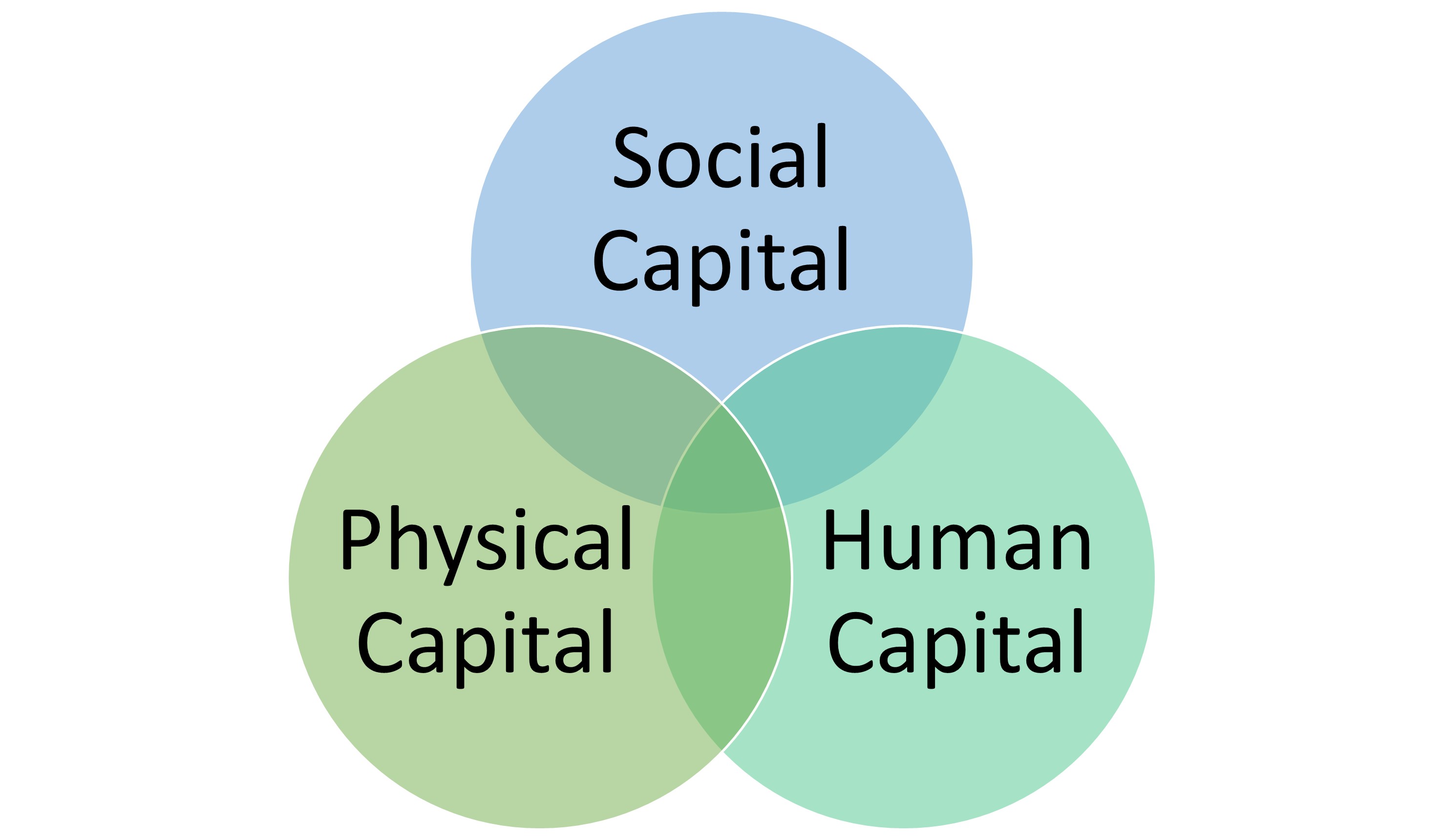 Figure 2.4-1. Three Major Capitals