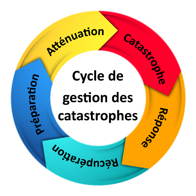 Figure 1.3.1 Cycle de gestion des catastrophes