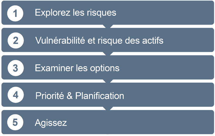 Figure 1.1.1.4 Étapes de la résilience