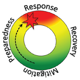 Figure 1-1 Disaster Management Cycle