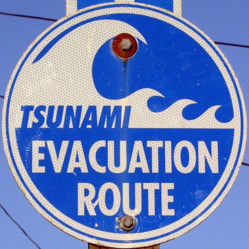 Figure 4.4.2.1 Permanently mounted tsunami evacuation route sign
